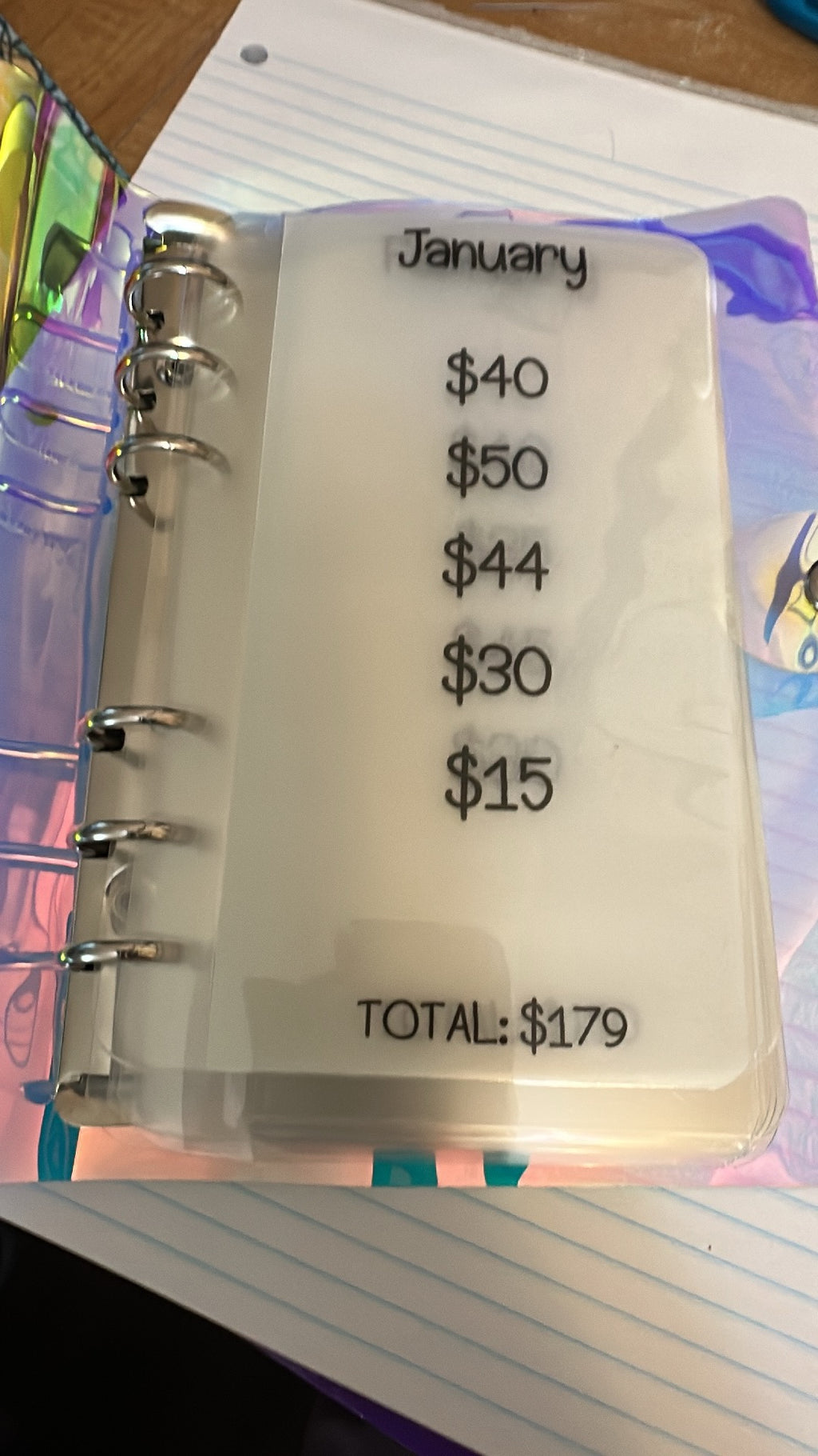 2026 Savings Binder