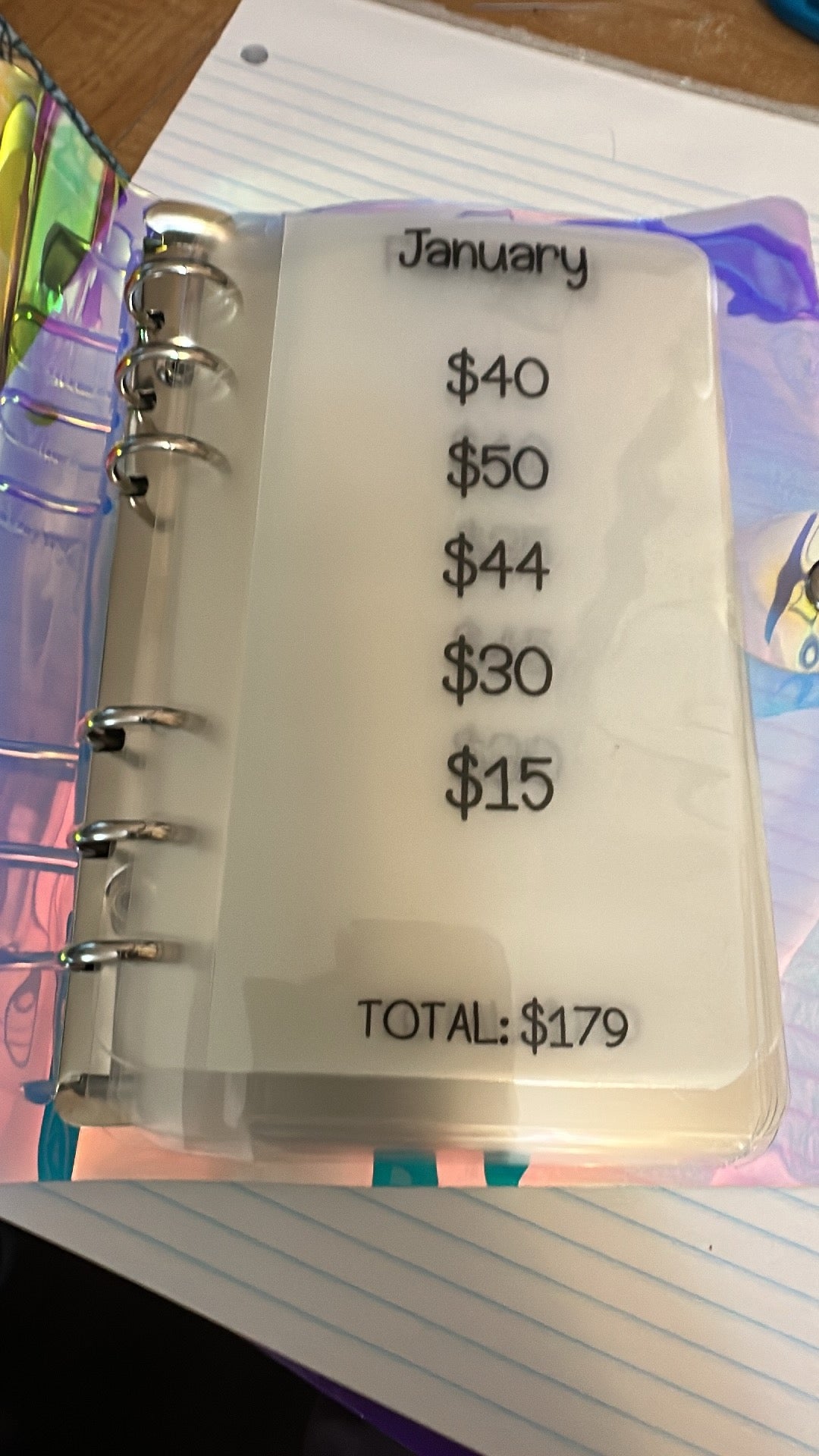 2026 Savings Binder