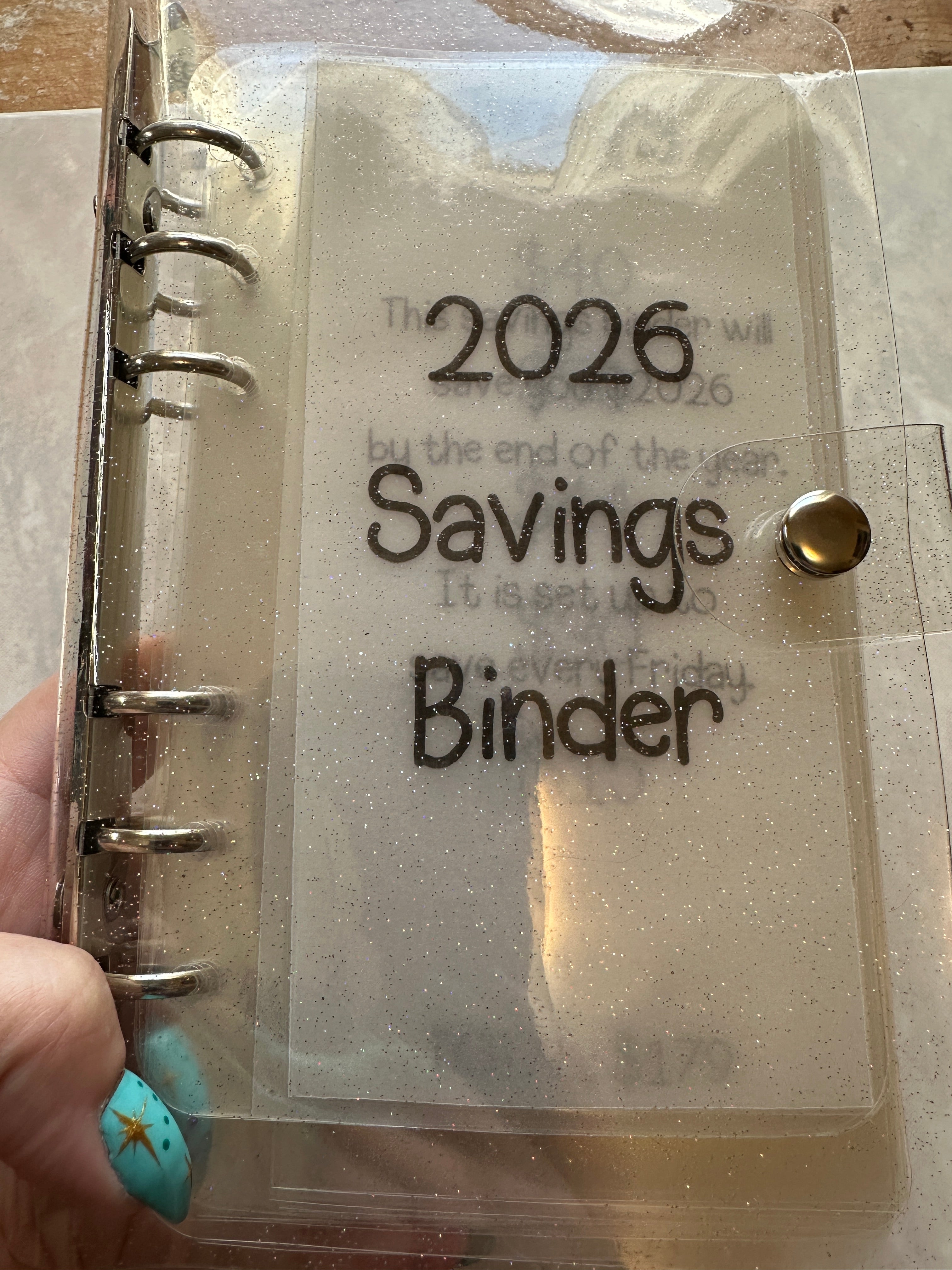 2026 Savings Binder